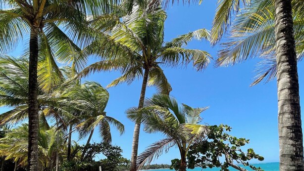 Beach - Casa Encantos…your ideal beachfront destination (Rio Grande)