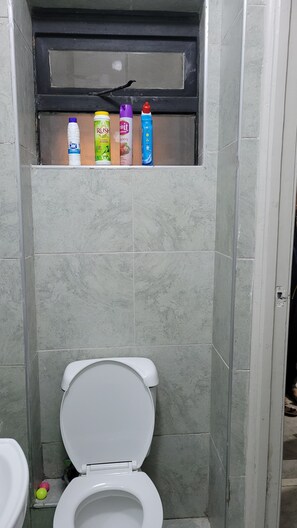 Shower, towels, soap, toilet paper