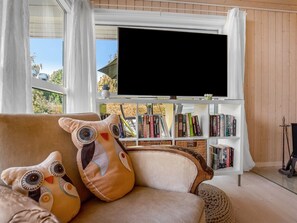 Fernseher, Kamin
