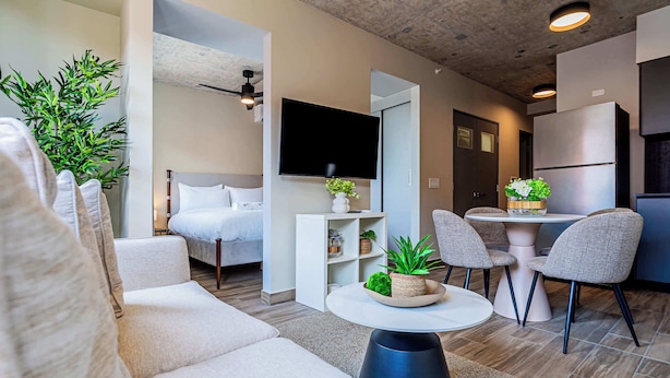 Una sala de estar moderna con un sofá, una mesa de centro con plantas, un televisor y un comedor con sillas y una mesa.