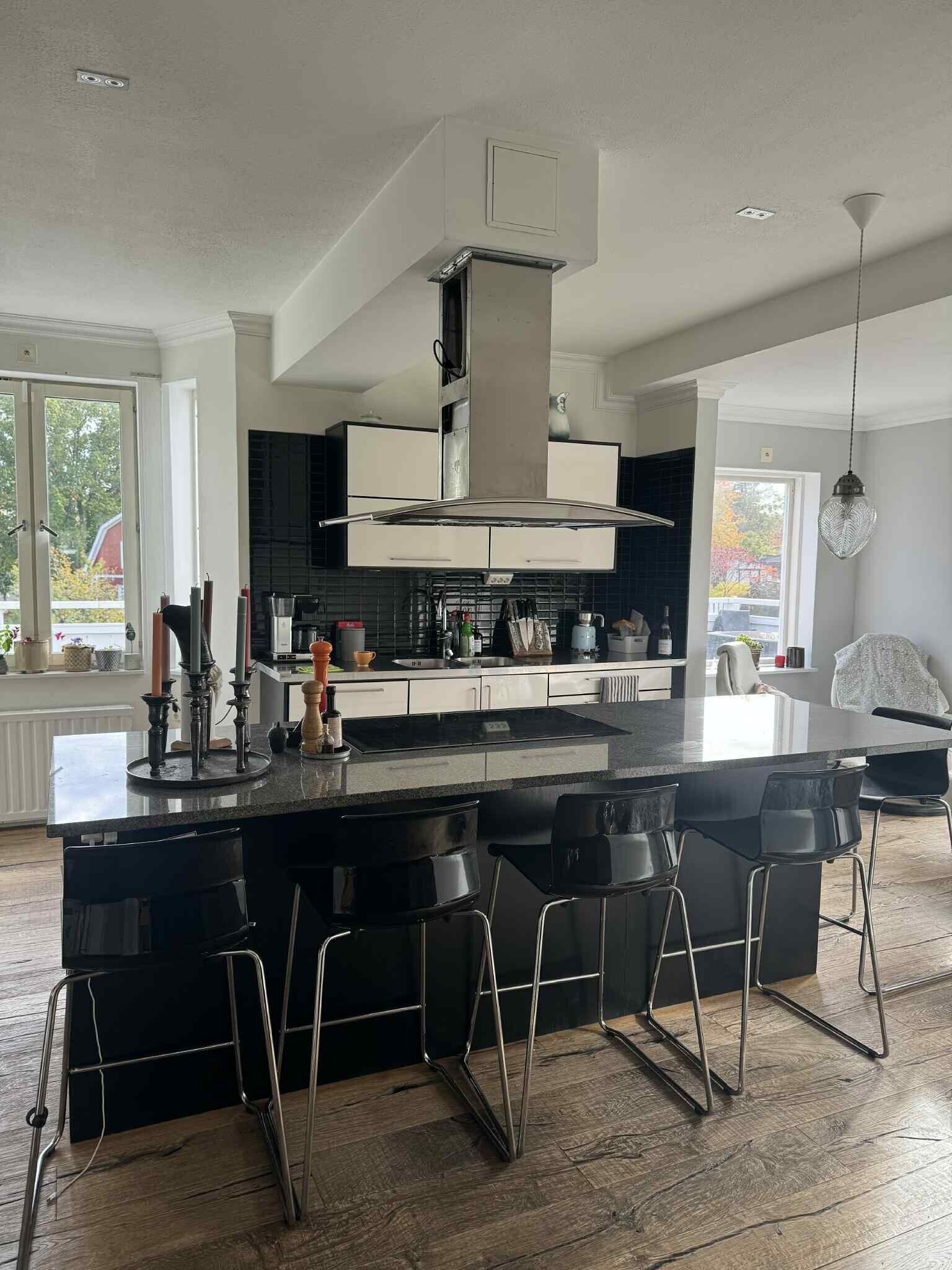 Mikrovågsugn, ugn, spishäll och diskmaskin