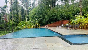 A rectangular swimming pool with a tiled deck, surrounded by lush greenery and tall trees.