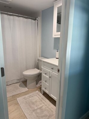 Une salle de bain équipée d’un WC, d’un lavabo, d’un miroir et d’un rideau de douche.
