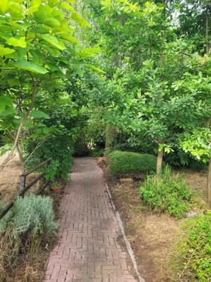 A brick pathway surrounded by lush greenery and trees.