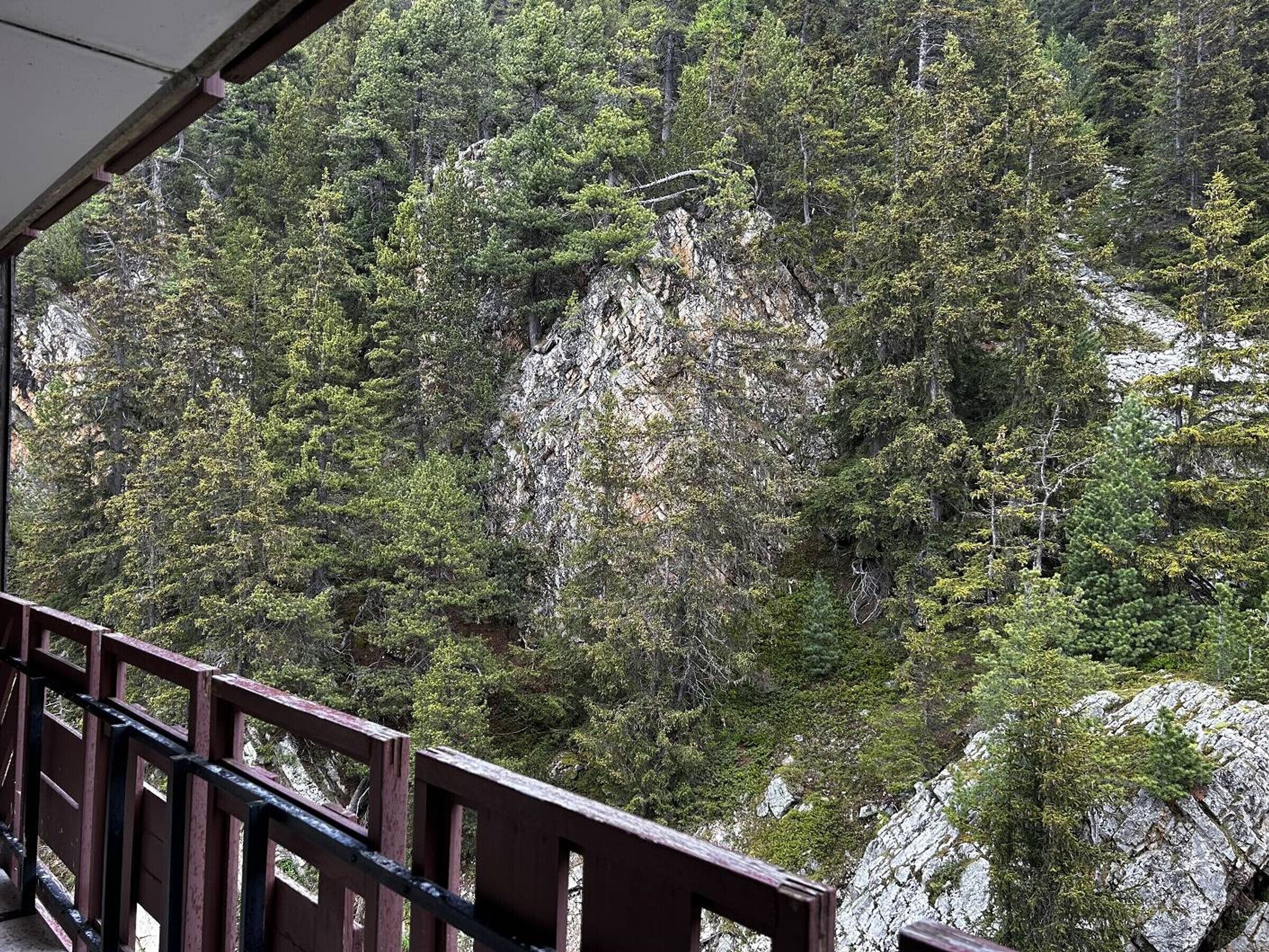 A wooden railing overlooking a forested mountain area.