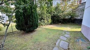 Ein Innenhof mit einem großen Nadelbaum, einem Steinweg und einer weißen Mauer.