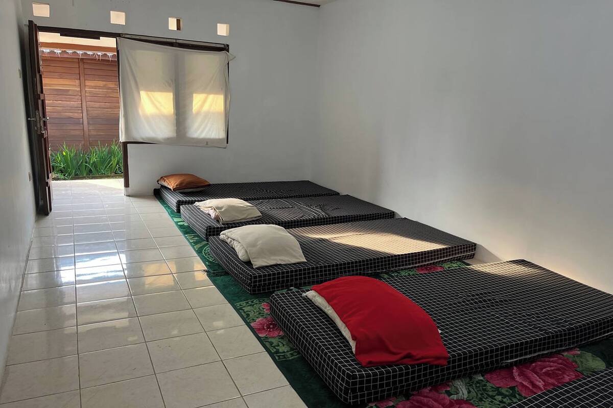 A room with two beds, a green floral rug, and a view of a wooden door and plants outside.