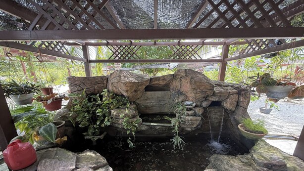 A rock garden with a water feature, surrounded by potted plants and a wooden pergola. - Inapan Taman Herba (Kepala Batas)