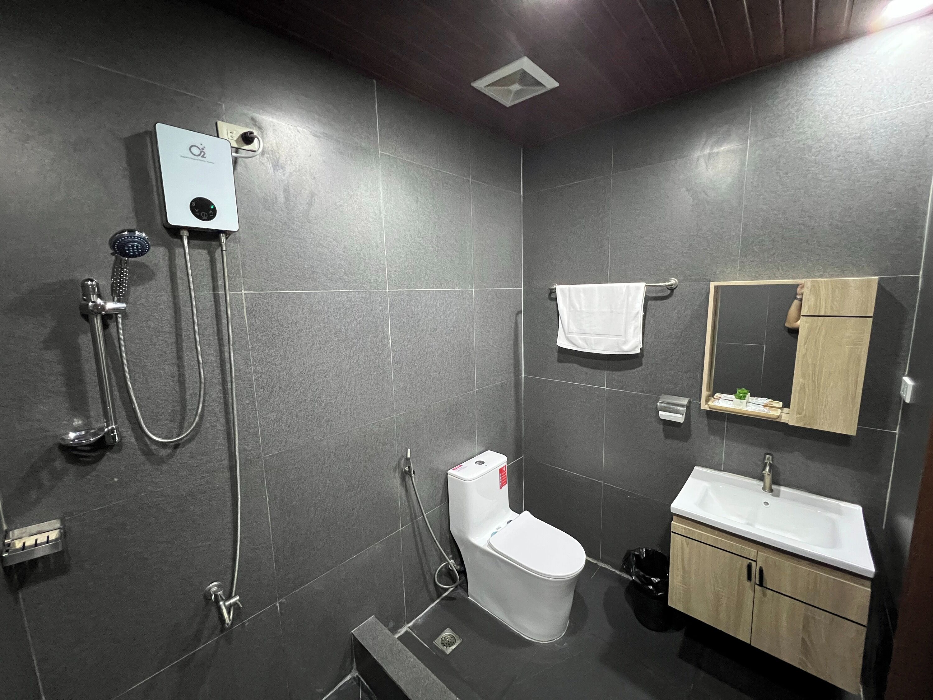 A modern bathroom with a shower, toilet, sink, and mirror.