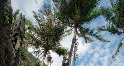 Chibel Summer Riverside Resort