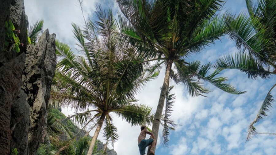 Chibel Summer Riverside Resort