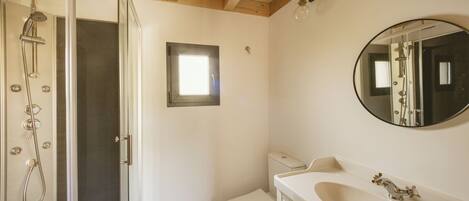 A bathroom with a glass-enclosed shower, a toilet, a sink, and a mirror on the wall.