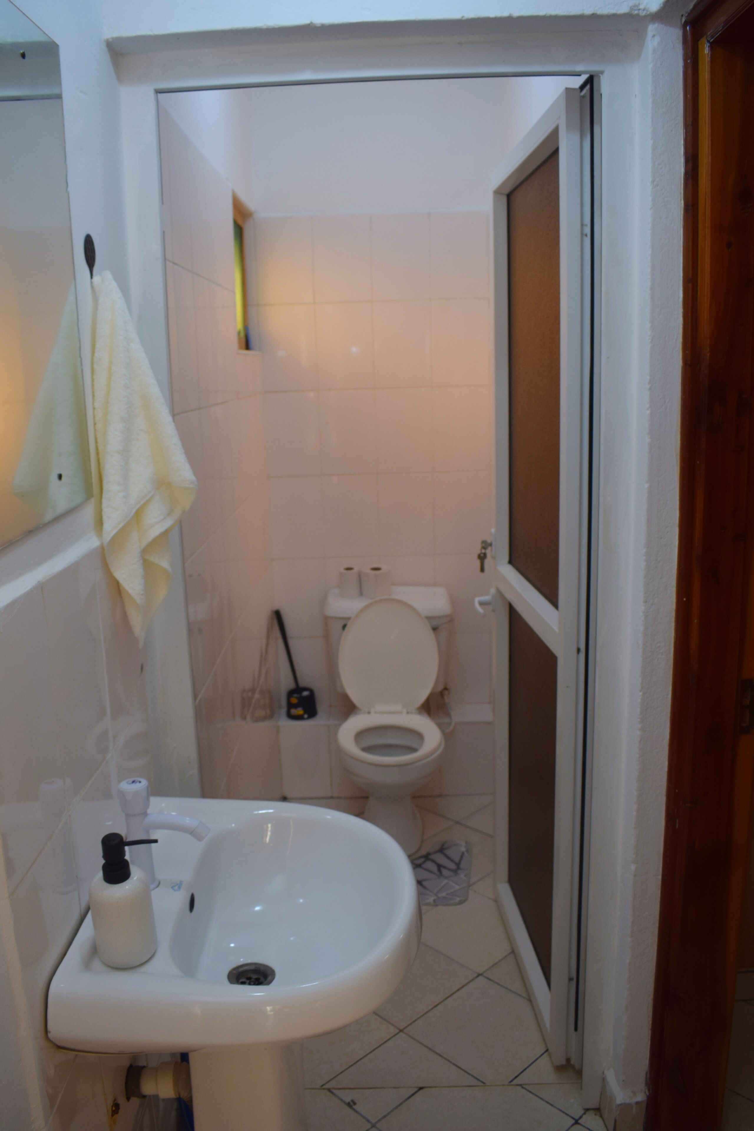 Shower, towels, soap, toilet paper