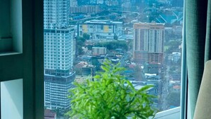 Une vue sur le paysage urbain, prise depuis une fenêtre, avec un cactus au premier plan.