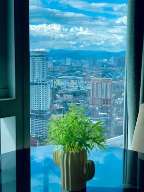 Vista desde la propiedad