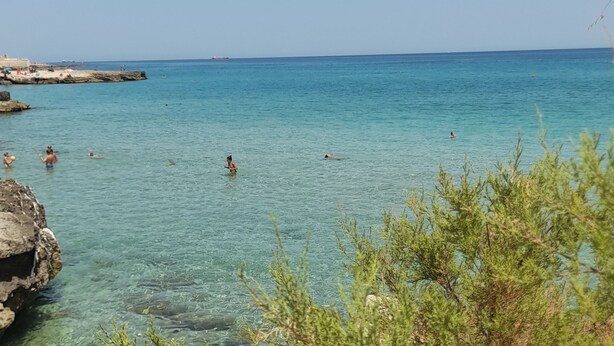 A coastal scene with clear turquoise water, rocky shorelines, and sparse vegetation. - An oasis of tranquility in a strategic location, "Belvedere da Madia "in Monopoli. (Monopoli)