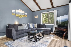 TV, fireplace, books