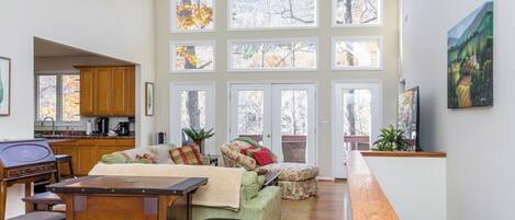 Televisión, chimenea y reproductor de DVD