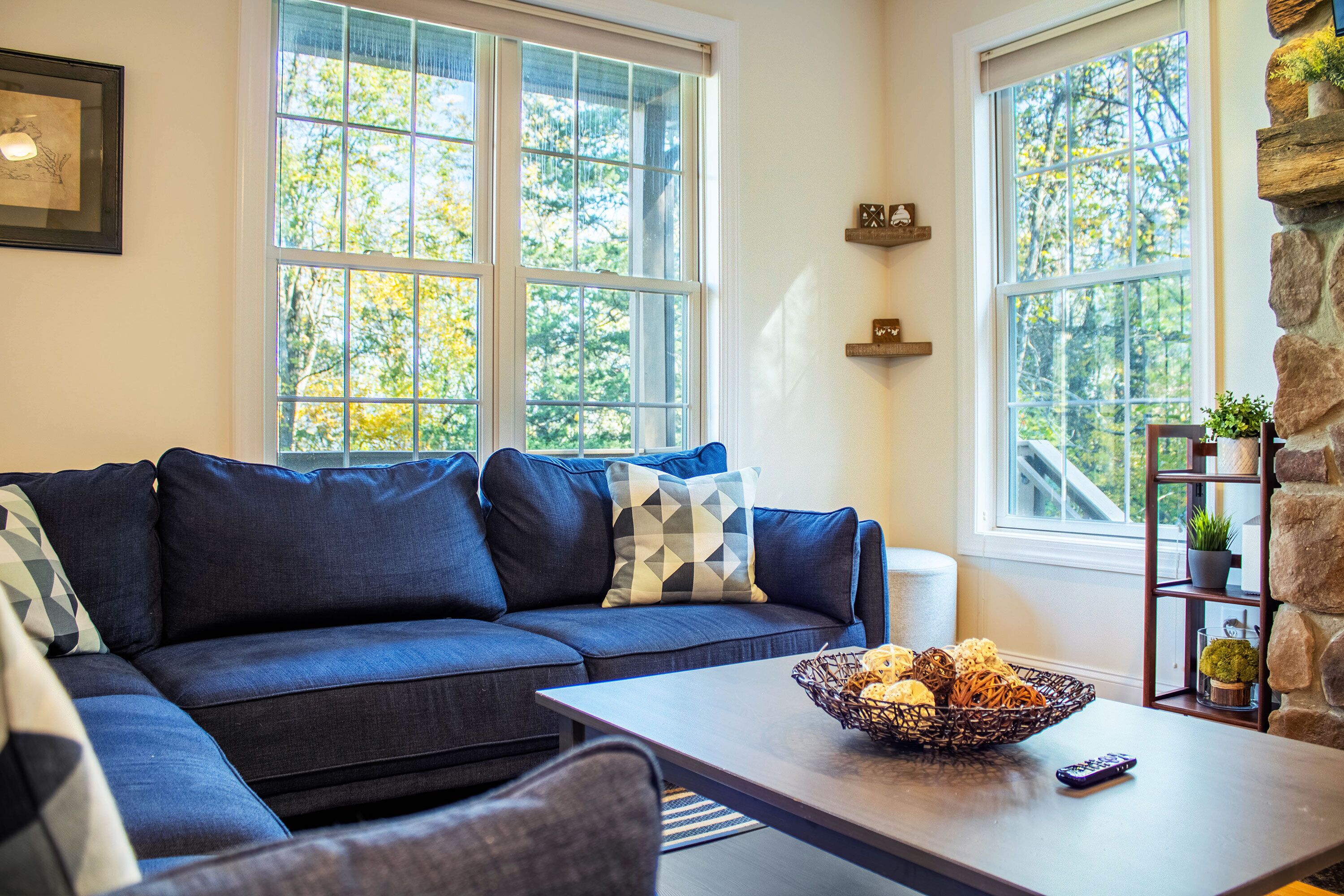 TV, fireplace, books