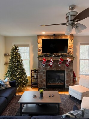 TV, fireplace, DVD player