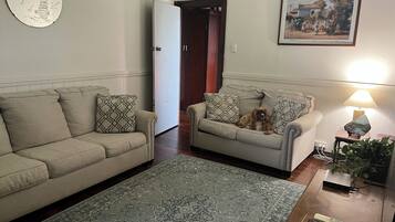 Televisión y chimenea