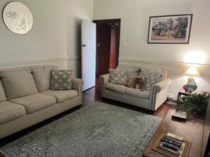 تلفزيون، مدفأة