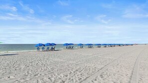 A beach with rows of blue umbrellas and beach chairs.