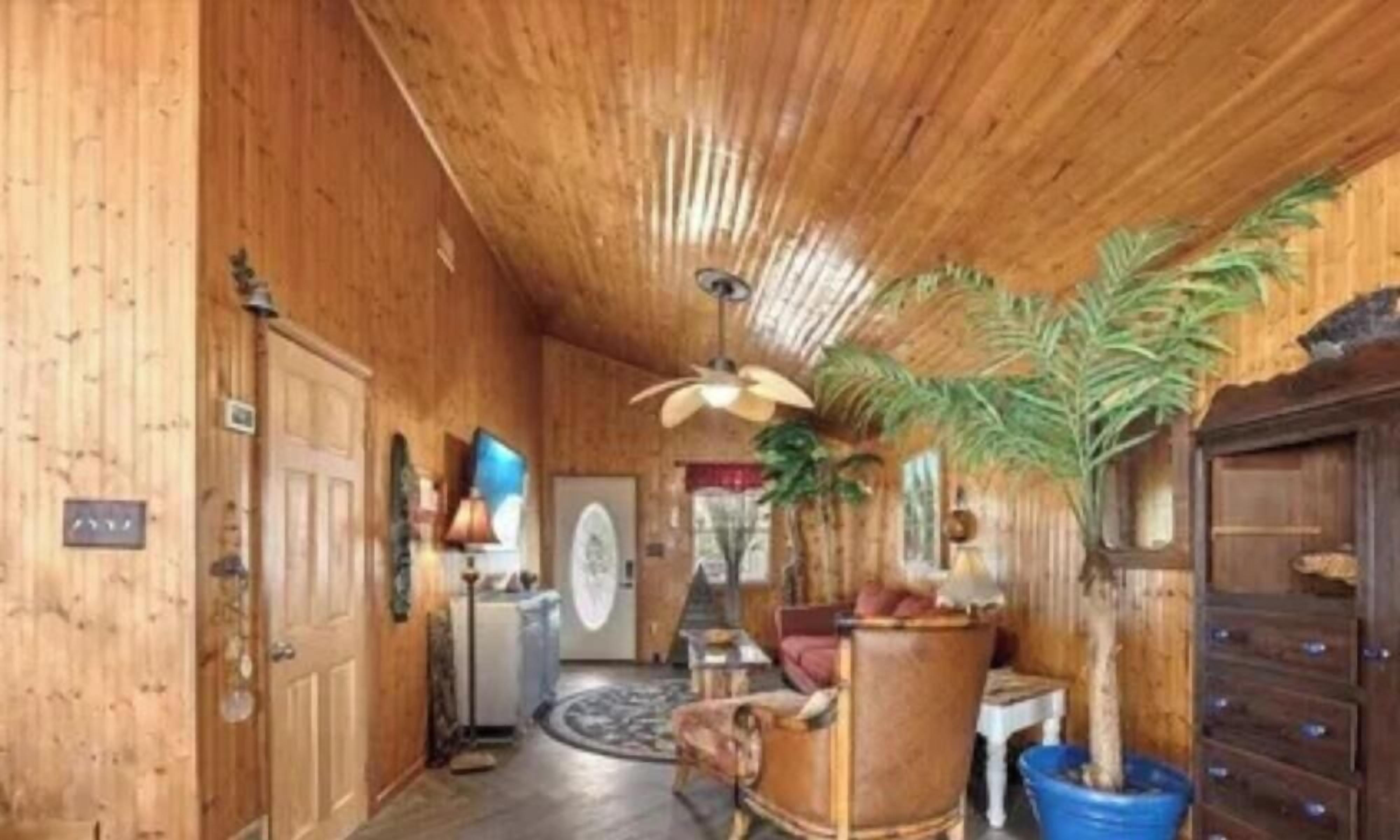 Un intérieur en bois avec un ventilateur de plafond, un téléviseur et une plante en pot.