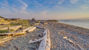 Una playa de guijarros con ramas flotantes y una estructura de madera al fondo.