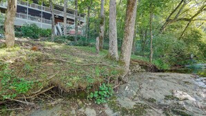A forested area with a building that has a balcony and a staircase. - Hiwassee River Gem w/ Huge Decks: Great for Groups (Hiawassee)