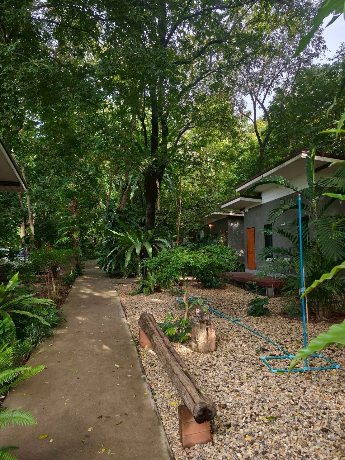 A pathway leading through a lush garden with a small building and a wooden bench.