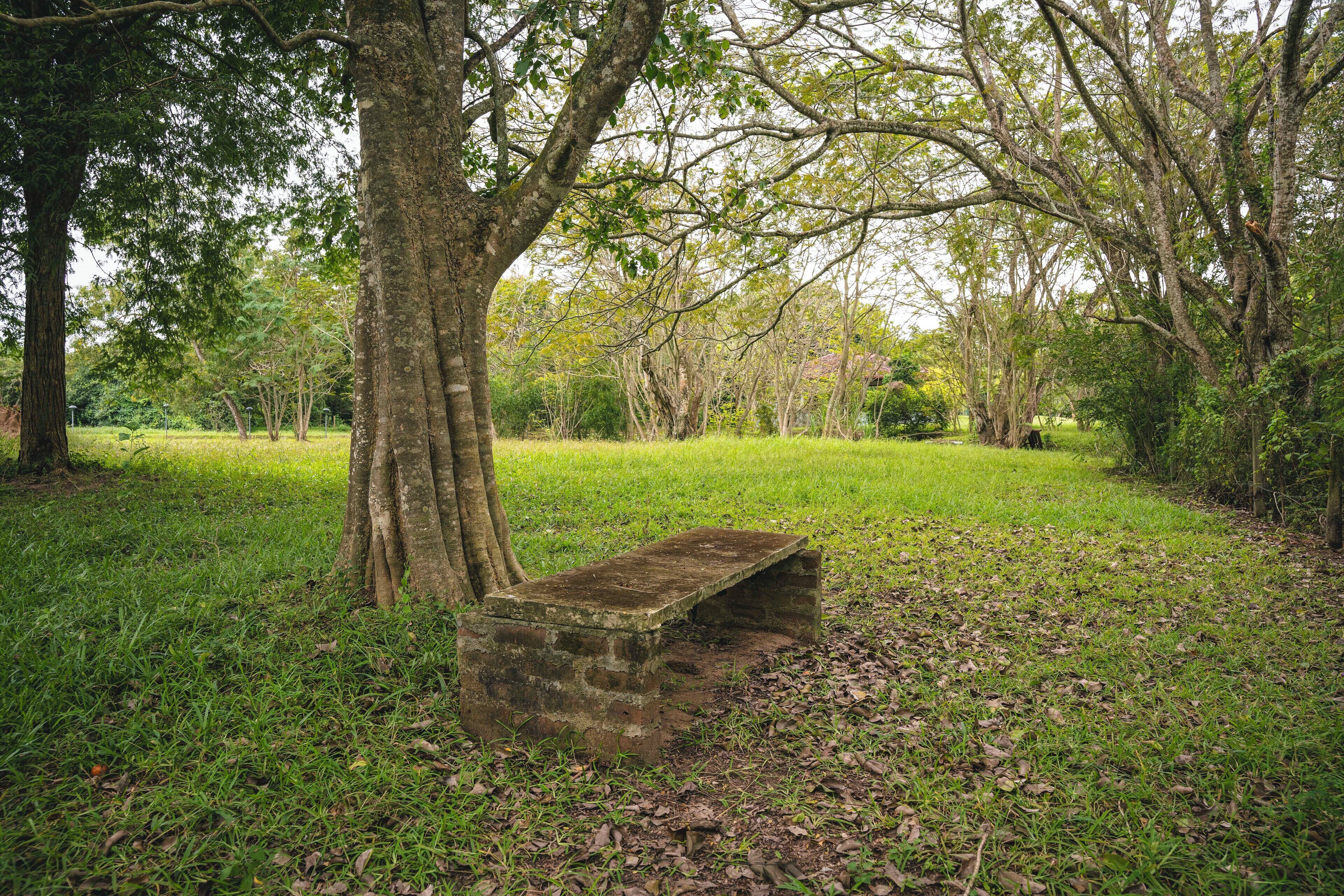 A stone bench in a park with trees and grass.