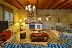 Smart TV, fireplace, DVD player, books