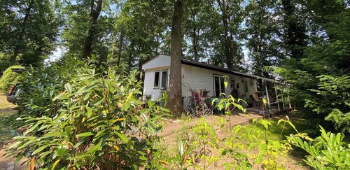 Forest cottage on the Veluwezoom