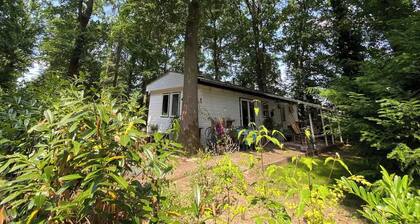 Forest cottage on the Veluwezoom