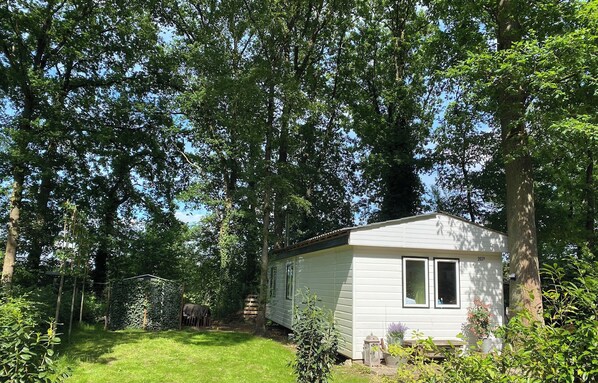 A small, single-story cabin with a white exterior, surrounded by dense trees and a grassy yard.