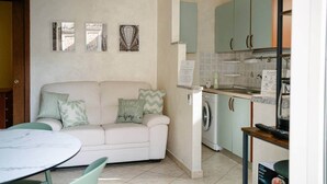 Un espacio habitable compacto con sofá, mesa de comedor, lavadora y zona de cocina.