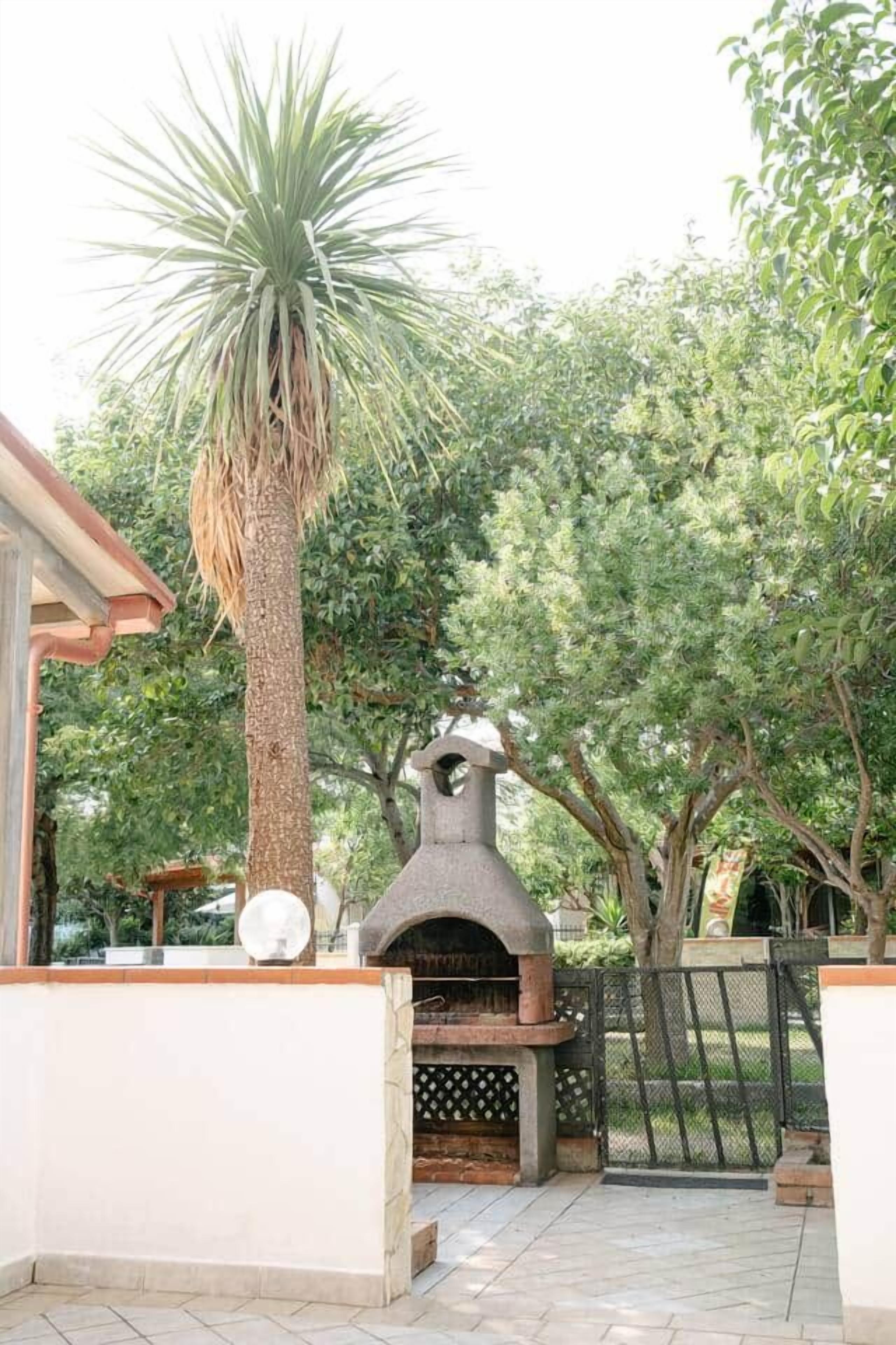 Un espace patio avec un barbecue en pierre, un grand palmier et un portail.