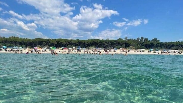 Una platja amb aigua turquesa cristal·lina i una filera de sombrerelles a la distància.