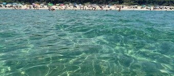 Casa Cleo - seaside apartment, WiFi, Netflix, A/C, pets allowed