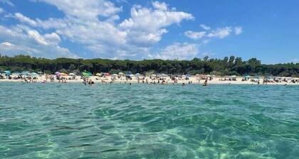 Casa Cleo - seaside apartment, WiFi, Netflix, A/C, pets allowed