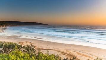 A beach with waves, greenery, and a clear sky.