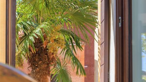 Una ventana con vistas a una palmera y la fachada de un edificio.