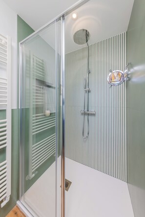 Shower, hair dryer, bidet, towels