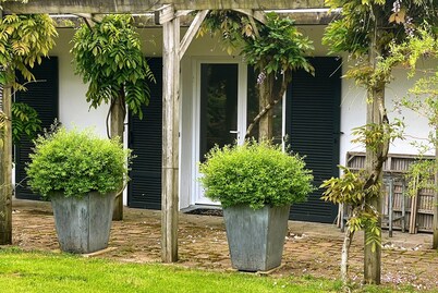 Comfortable gîte, spacious garden with swimming pool, close to the Erdre river.