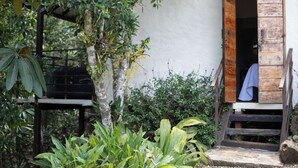 A wooden door leading to a room with a view of a garden. - Roots Eco House (El Peñol)