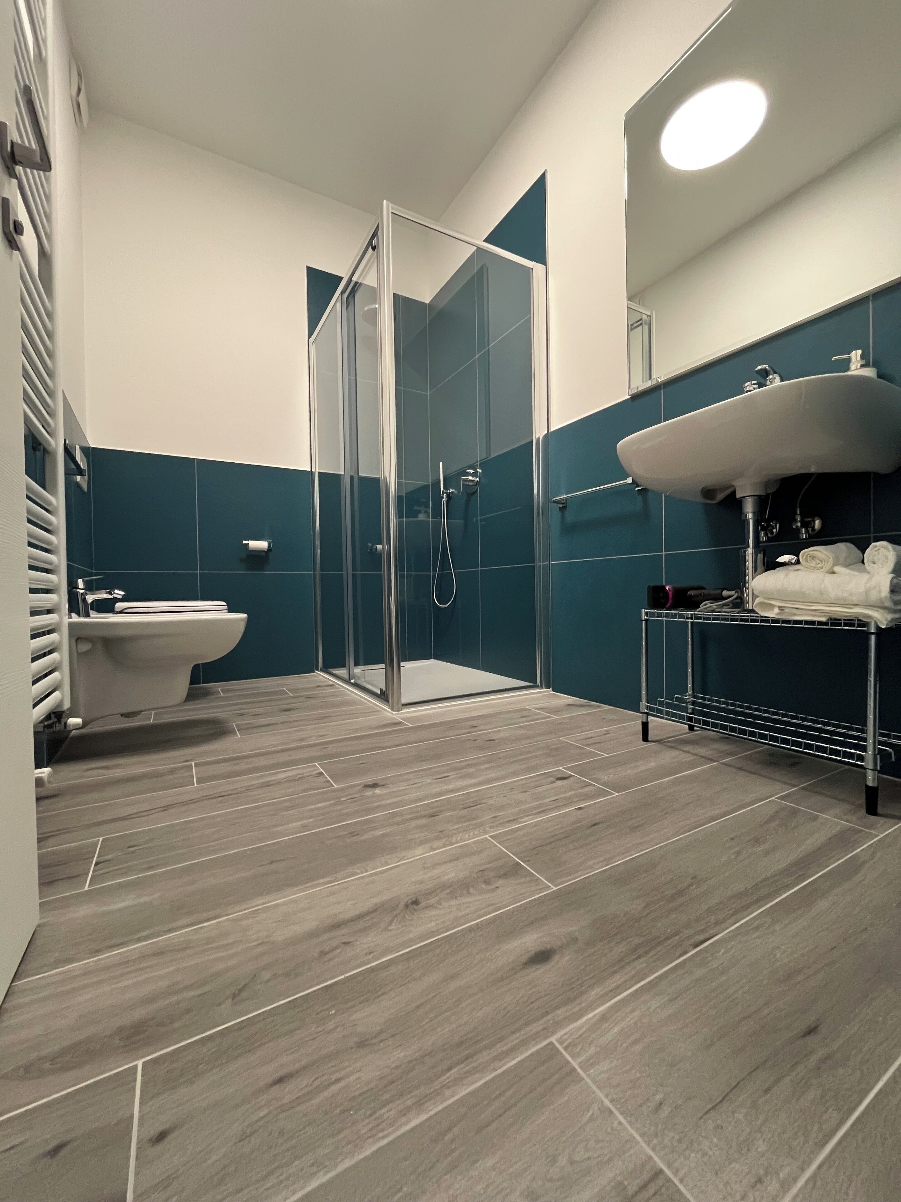 Hair dryer, bidet, towels, soap
