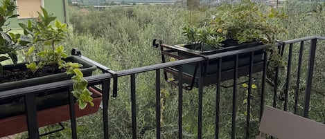 A balcony with a view of mountains, a table, and potted plants.
