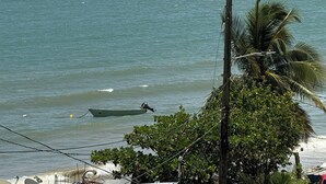 A coastal view with sailboats on the water, a small island in the distance, and a beach with palm trees.