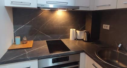 Miran Studio u Srcu Banje